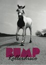 Bump Roller Disco