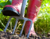 Gardening Skillshare