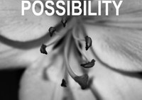 Possibility