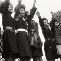 The Black Panthers