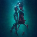 Outdoor Cinema: The Shape of Water