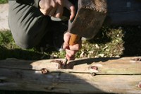 Timber framing workday