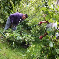 Trinity granted funding for garden improvements